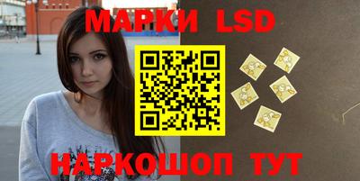 прущие грибы Долгопрудный