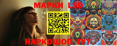 прущие грибы Долгопрудный