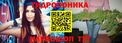 шишки Дмитров