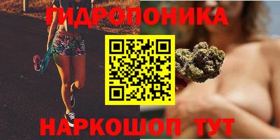 прущие грибы Долгопрудный