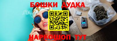 сатива Апшеронск