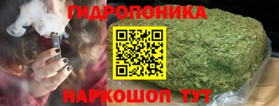 шишки Дмитров