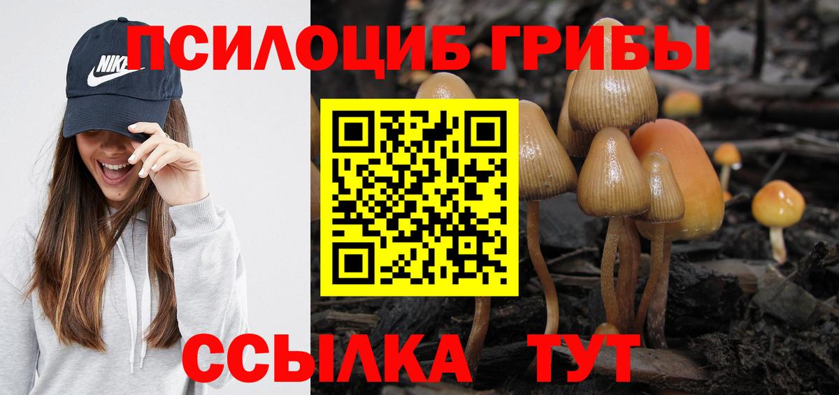 Галлюциногенные грибы мухоморы Волоколамск