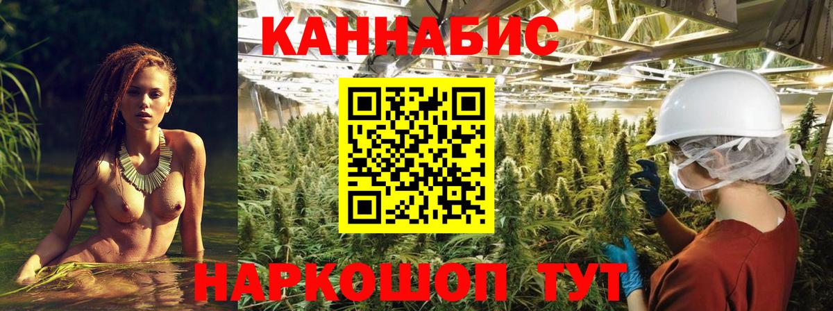Бошки марихуана план Волоколамск